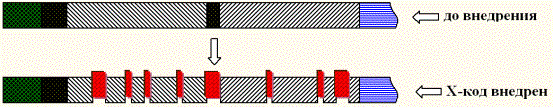 Внедрение X-кода